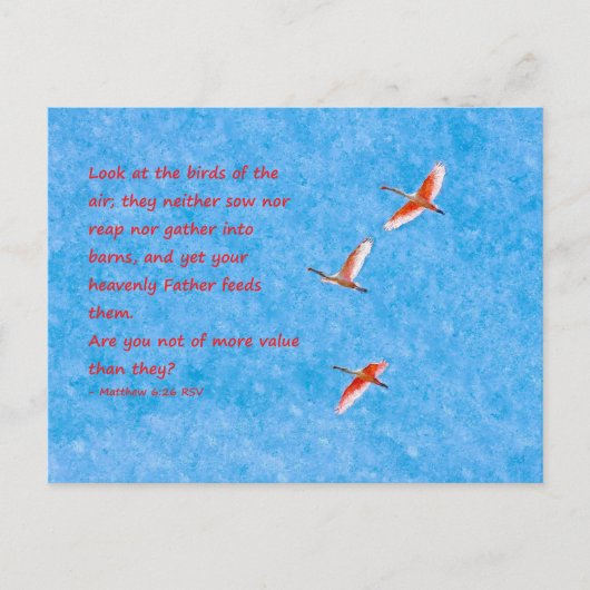 De vogels van de Air Matthew 6:26 Briefkaart (Voorkant)