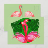 De Vogels van de flamingo Briefkaart (Voorkant / Achterkant)
