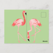 De Vogels van de flamingo Briefkaart (Achterkant)