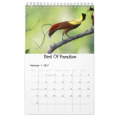 De vogels van de wereldjaarkalender | Vogelcadeaus Kalender (Feb 2027)