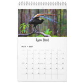 De vogels van de wereldjaarkalender | Vogelcadeaus Kalender (Mar 2027)