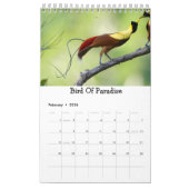 De vogels van de wereldjaarkalender | Vogelcadeaus Kalender (Feb 2026)