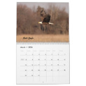 De vogels van Forsythe II Kalender (Mar 2026)