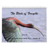 De vogels van Forsythe II Kalender (Hoes)