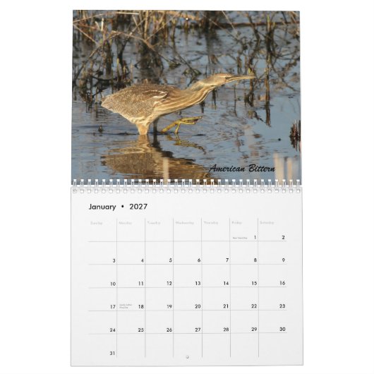 De vogels van Forsythe II Kalender (Jan 2027)