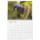 De vogels van Forsythe II Kalender (Feb 2027)
