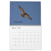 De vogels van Forsythe Kalender (Feb 2027)