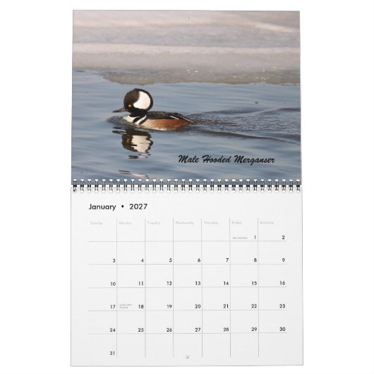 De vogels van Forsythe Kalender (Jan 2027)