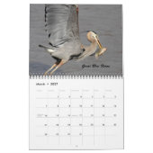 De vogels van Forsythe Kalender (Mar 2027)