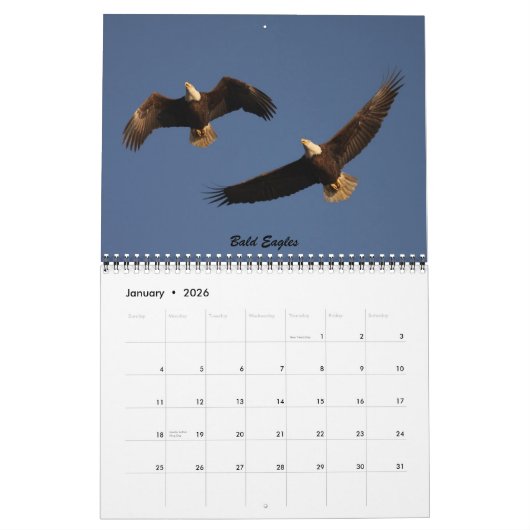 De vogels van Forsythe - Officiële vluchtelingenka Kalender (Jan 2026)