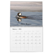 De vogels van Forsythe - Officiële vluchtelingenka Kalender (Feb 2026)