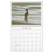 De vogels van het paradijs kalender (Jan 2026)