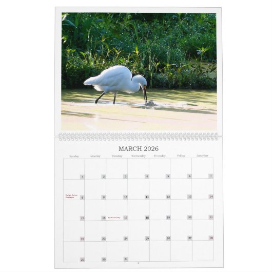 De vogels van het paradijs kalender (Mar 2026)