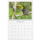 De vogels van het paradijs kalender (Feb 2026)