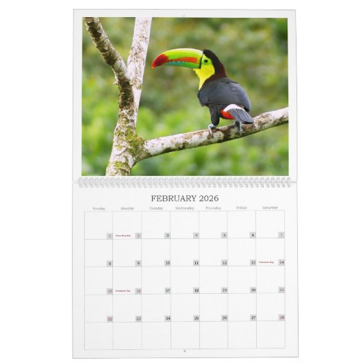 De vogels van het paradijs kalender (Feb 2026)