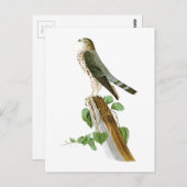 De Vogels van le Petit Caporal John Audubon van Briefkaart (Voorkant / Achterkant)