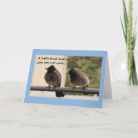 De vogels worden goed kaart