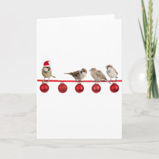De vogelsmussen van Kerstmis Feestdagen Kaart