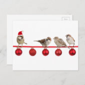 De vogelsmussen van Kerstmis Feestdagenkaart (Voorkant / Achterkant)