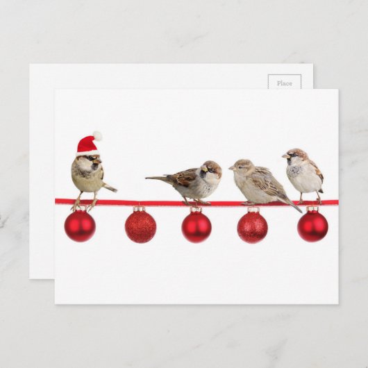 De vogelsmussen van Kerstmis Feestdagenkaart (Voorkant / Achterkant)