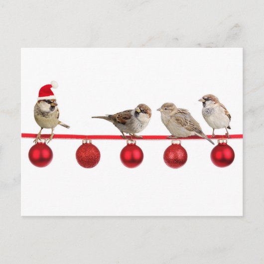 De vogelsmussen van Kerstmis Feestdagenkaart (Voorkant)