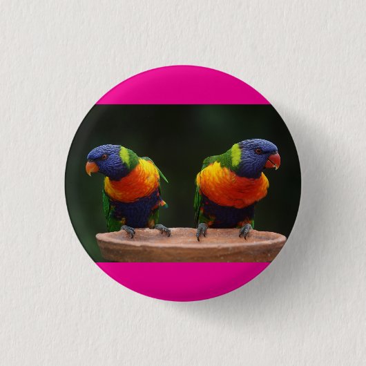 de vogeltjes zijn schattig  ronde button 3,2 cm (Voorkant)