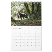 De volgende generatie Afrikaanse dieren (één pagin Kalender (Jan 2026)