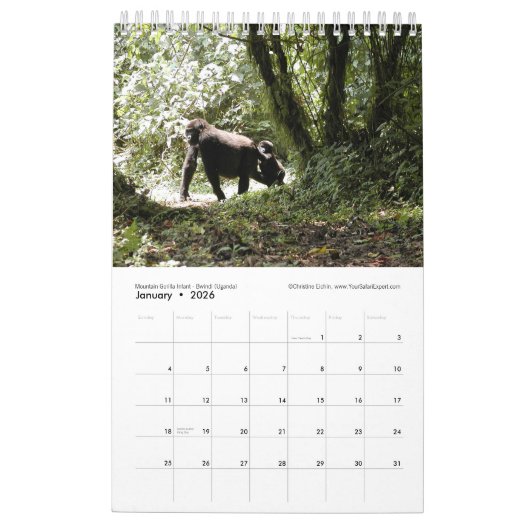 De volgende generatie Afrikaanse dieren (één pagin Kalender (Jan 2026)
