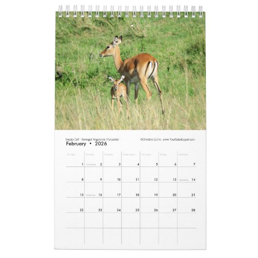 De volgende generatie Afrikaanse dieren (één pagin Kalender (Feb 2026)