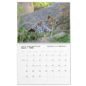 De volgende generatie (Afrikaanse dieren) (twee bl Kalender (Mar 2026)