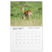 De volgende generatie (Afrikaanse dieren) (twee bl Kalender (Feb 2026)