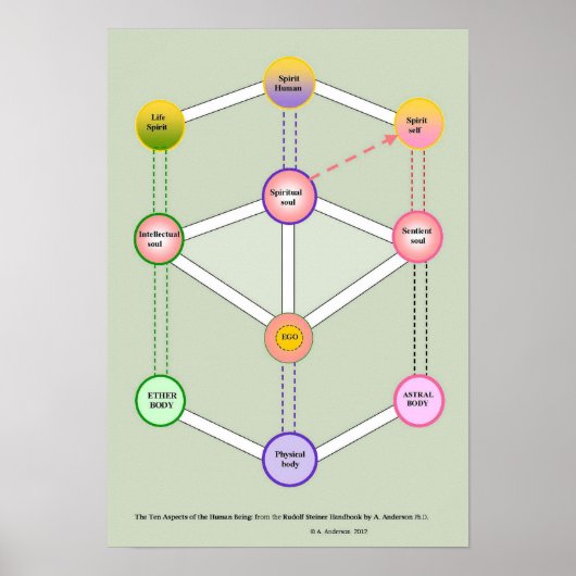 De volkmens poster (Voorkant)