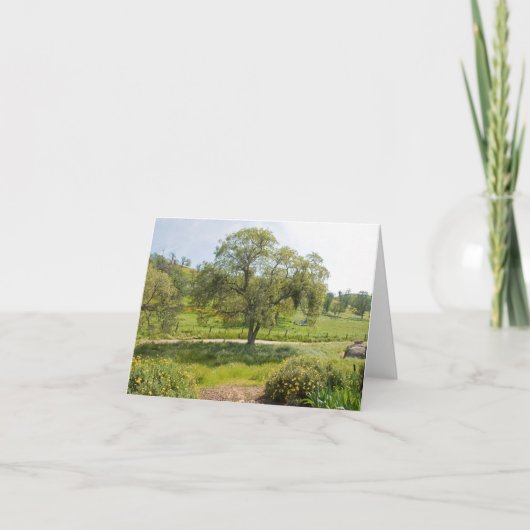 De voor Eik van het Uitzicht van de Portiek Kaart (Voorkant)