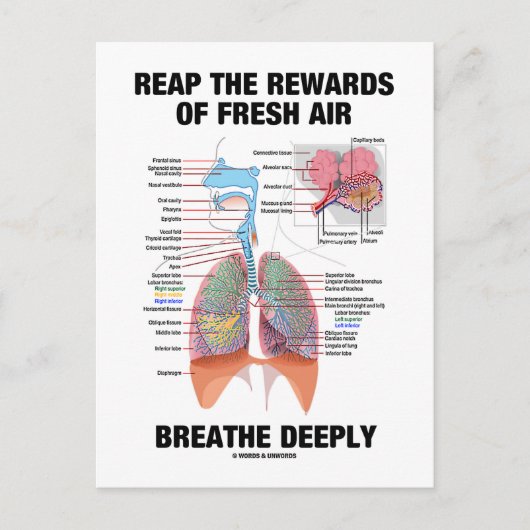 De voordelen van de frisse luchtdoorlaat opnieuw b briefkaart (Voorkant)