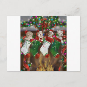 De voorraad was verstopt briefkaart