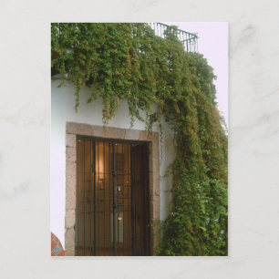 De voorzijde van een gebouw in Taxco met wijnstok Briefkaart