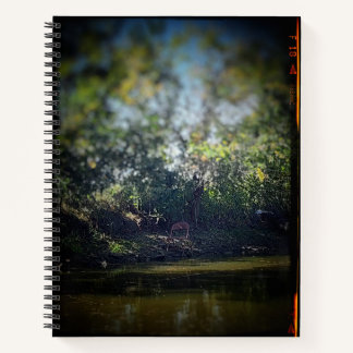 De voorzitter van het door het Pond College gerege Notitieboek