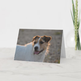 De vorm van Valentijn de Hond Feestdagen Kaart