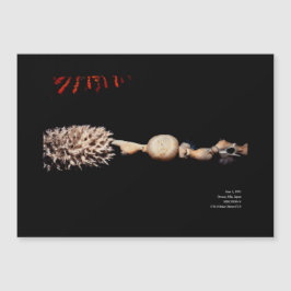 De vormen van de zee in de pikzwarte Magnetic Card