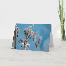 De vorst van de winter feestdagen kaart