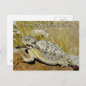De Vorstelijke Gehoornde Hagedis van Arizona Briefkaart (Voorkant / Achterkant)