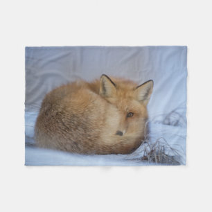 de vos deken, vos werpt, comfortabele slaapvos fleece deken