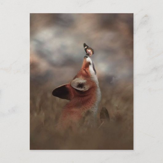 De vos en de vlinder briefkaart (Voorkant)