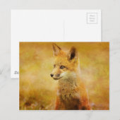 De vos in het hout briefkaart (Voorkant / Achterkant)