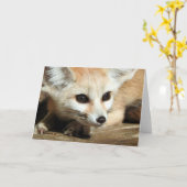 De Vos van Fennec Kaart (Gele Bloem)