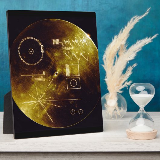 De Voyager Golden Record Fotoplaat (Zijkant)
