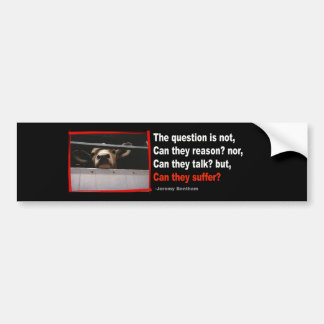 De vraag is niet, kunnen ze een reden zijn... bumpersticker