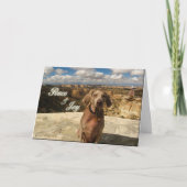 De Vrede en de Vreugde van de haal Feestdagen Kaart (Voorkant)