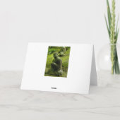 De vrede komt binnen uit. De Kaart van het Citaat (Achterkant)