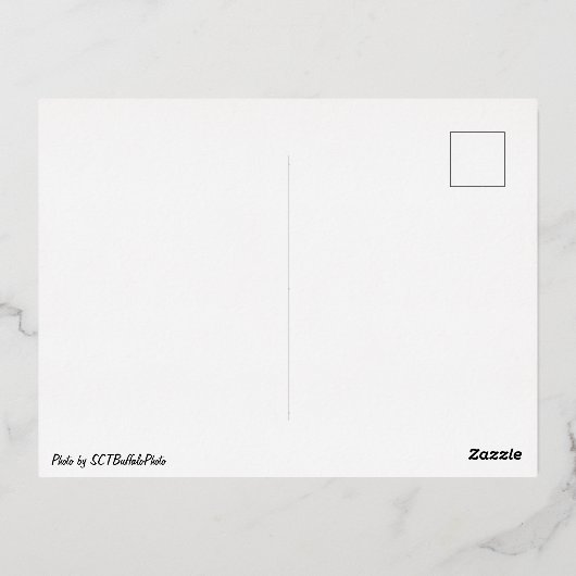 De Vredesbrug in Buffalo, NY Folie Feestdagen Briefkaart (Achterkant)